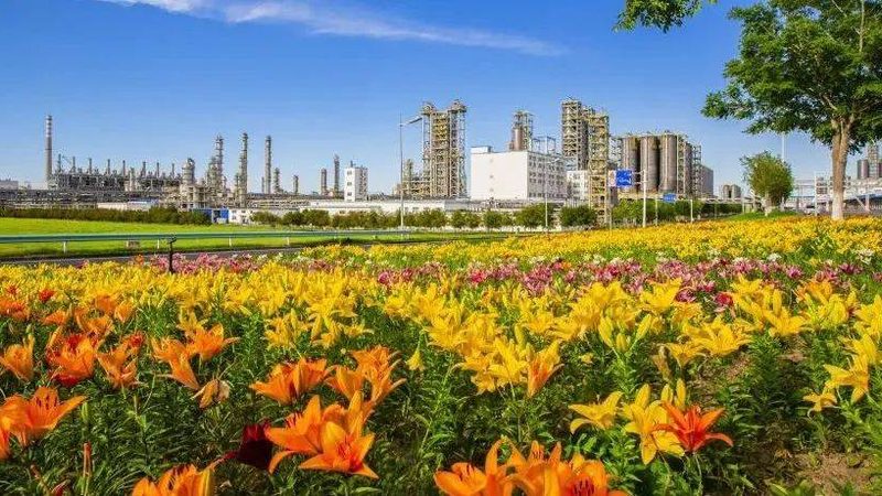 橡胶助剂与塑料助剂：本质区别与应用解析