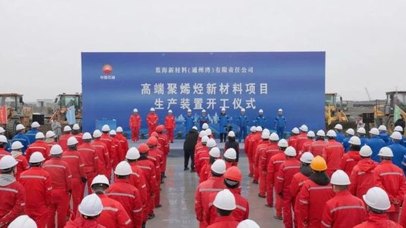 肉类防腐剂生产公司排名揭秘：如何选择安全可靠的供应商