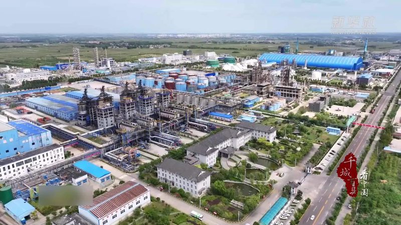 饲料添加剂规格参数如何解读？关键点详解**